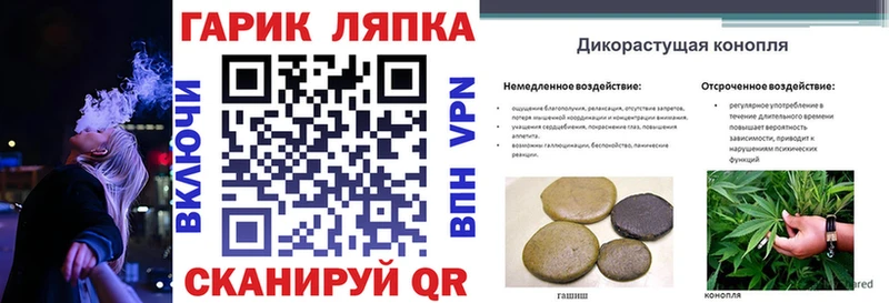 OMG ONION  Кольчугино  Гашиш убойный 