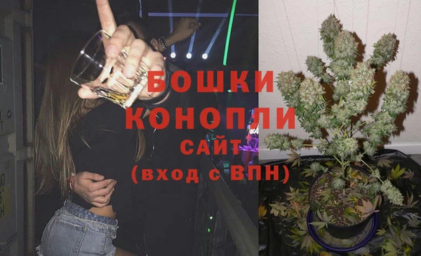 PSILOCYBIN Беломорск
